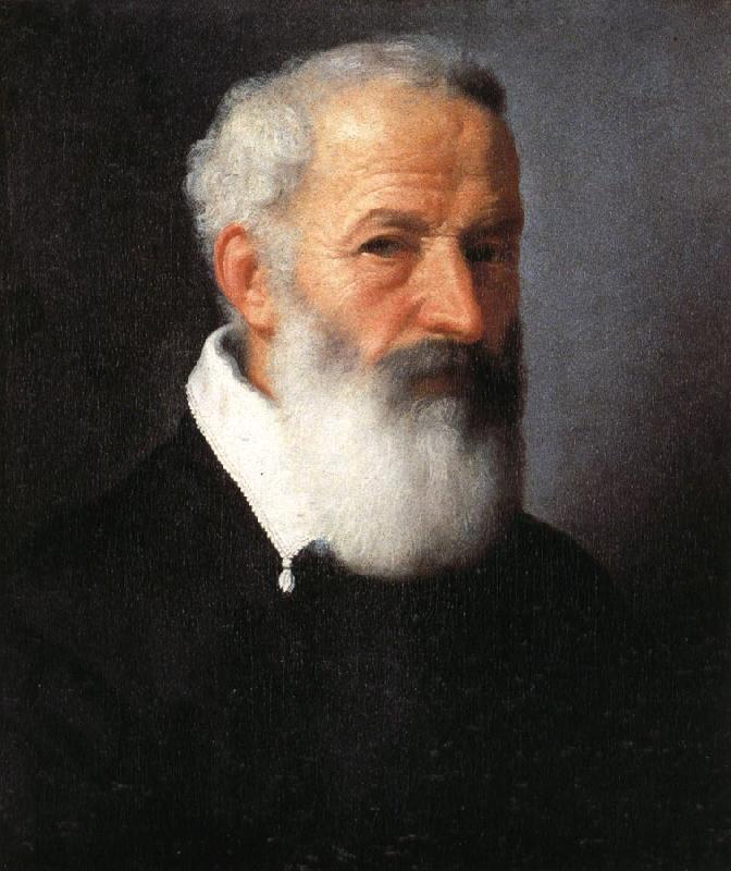 MORONI, Giovanni Battista Portrait of an Old Man oil painting image